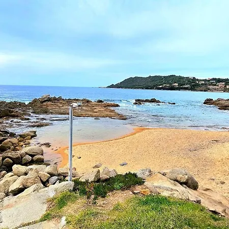 Nouveau Superbe - Rsd Calypso Tiuccia * Casaglione