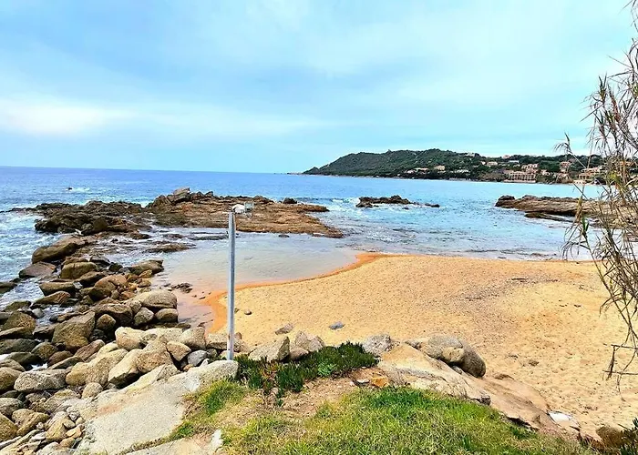 Nouveau Superbe - Rsd Calypso Tiuccia * Casaglione